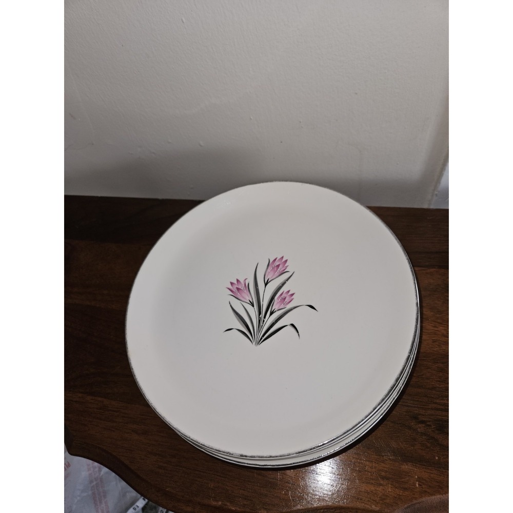 Vintage 1950s W.S. George Fine China "Pink Crocus" Dinner Plates (6)